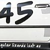 Numbers